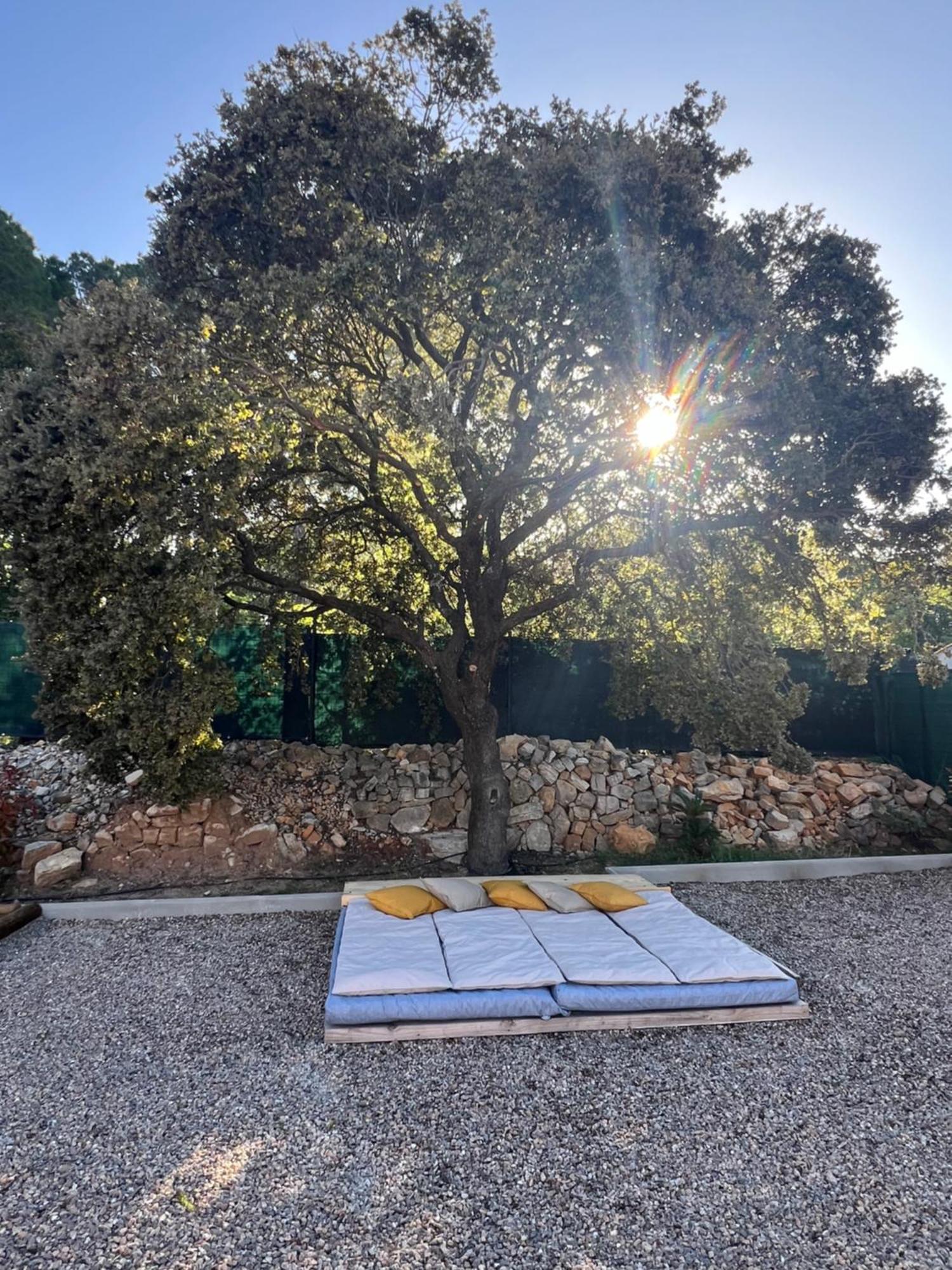 La Provence Piscine Privee, Petanque Et Barbecue Villa Les Arcs-sur-Argens Bagian luar foto
